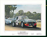 MGCGT AT SEBRING